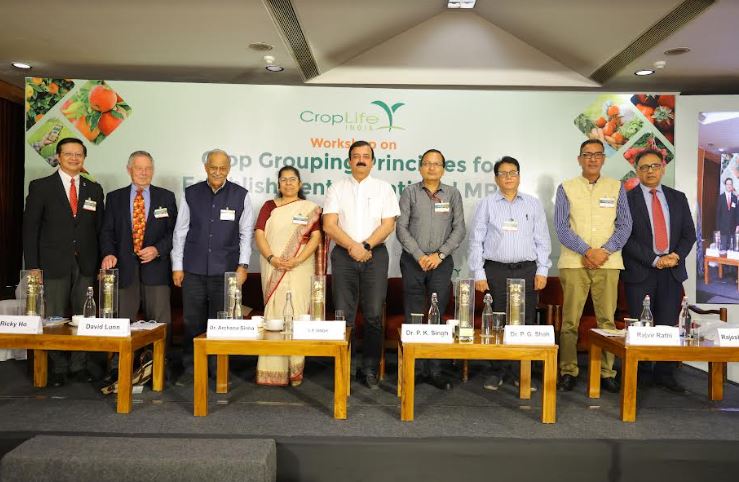 CropLife India Conducts Workshop on “Crop Grouping Principles for Establishment of National MRLs”