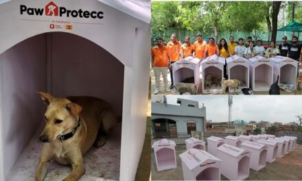 Mars Petcare and Swiggy Instamart Launch Paw Protecc Initiative: Lead the Charge to Safeguard Community Pets During Extended Monsoon Season