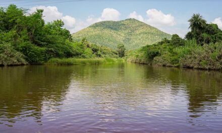 Healing India’s Water Crisis: The Art of Living’s Pioneering Solutions