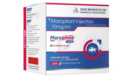 Introducing a Revolutionary Advancement in Animal Care: Our Innovative Veterinary Pharmaceutical Solution