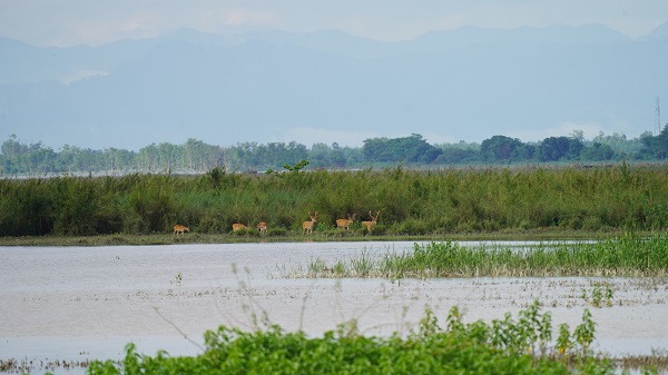 Bijnor Mahotsav: Celebrating a Ramsar Site & The Art of Living’s Remarkable Role in Community-led Conservation