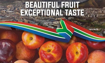 Season’s First South African Stone Fruits Arrive in India – A Feast of Freshness and Flavor