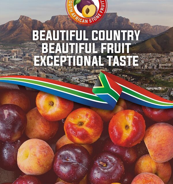 Season’s First South African Stone Fruits Arrive in India – A Feast of Freshness and Flavor