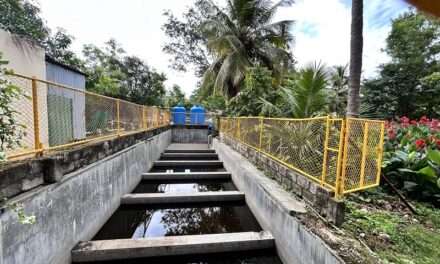 The Art of Living Pioneers Revolutionary Wastewater Treatment with Nature