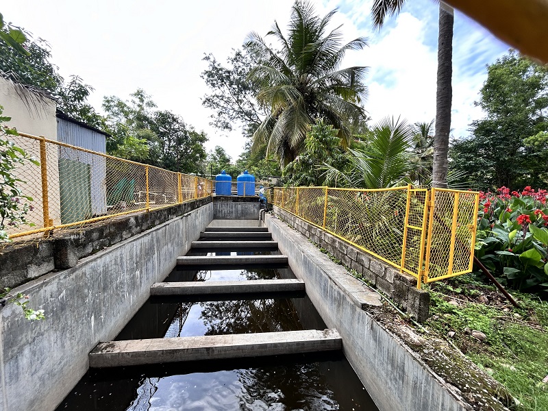 The Art of Living Pioneers Revolutionary Wastewater Treatment with Nature