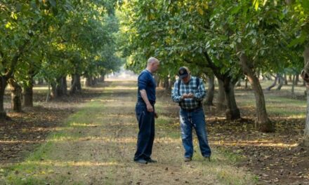 California Walnuts: The Fresh Crop Has Arrived in India = Wellness Within