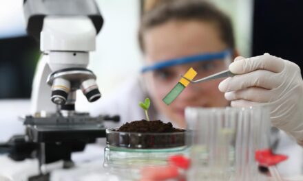 Medical Biotechnology in the Age of Personalised Medicine: Preparing Scientists for the Future of Healthcare