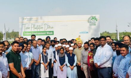 Trident Group Marks Environment Week 2025 with Large-Scale Community Action and Green Initiatives