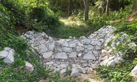 Reclaiming Water, Restoring Hope for Kolar: The Art of Living & Ashirvad