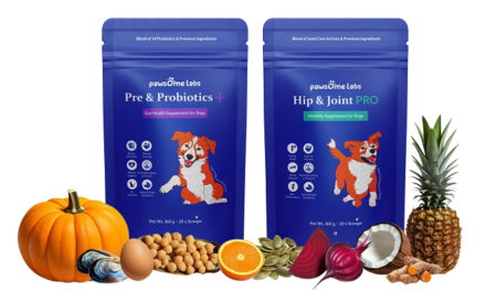 Pawsome Labs is Raising the Bar for Pet Wellness in India