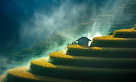 Greenstorm Unveils Winning Images Celebrating Beautiful Wetlands