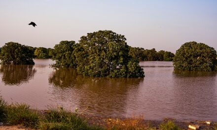 Rs. 2.3+ Crore Raised on Impact Guru to Help Punjab’s Flood Survivors Rebuild Their Lives