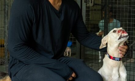 From Jerseys to Journeys of Care: Riyan Parag Transforms His Cricket Memories into Comfort for Shelter Animals