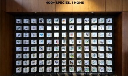 Shapoorji Pallonji Real Estate Unveils the &apos;Coexistence with Flora & Fauna&apos; Mural at VANAHA, Pune