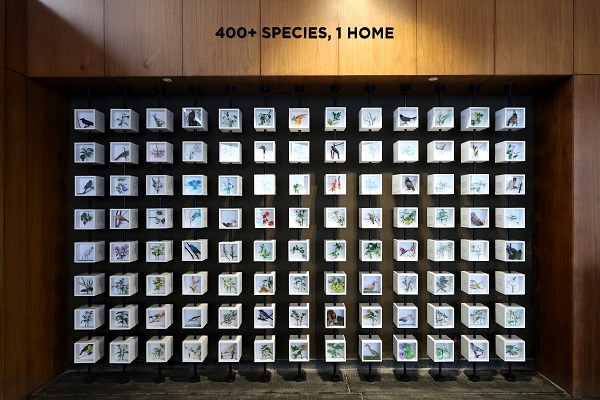 Shapoorji Pallonji Real Estate Unveils the &apos;Coexistence with Flora & Fauna&apos; Mural at VANAHA, Pune