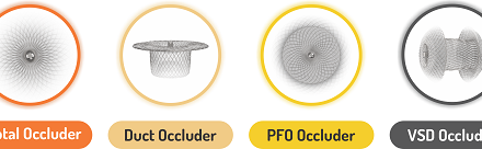 SMT Celebrates 20 Years of the Cocoon Occluder Journey, Transforming Lives in Congenital and Structural Heart Defects
