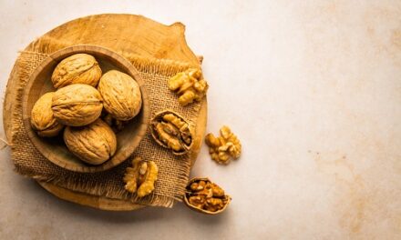 Cozy Up to Fall: Feel Good Flavors & Seasonal Comforts