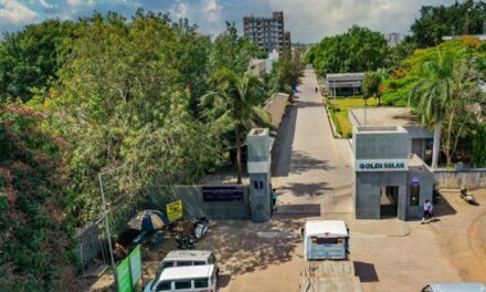 From Diamond to Sun: How Goldi Solar Reignited Navsari's Sparkle