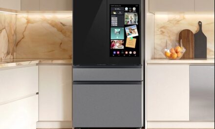 What Is the Best Eco-Friendly Refrigerator to Buy This Summer?