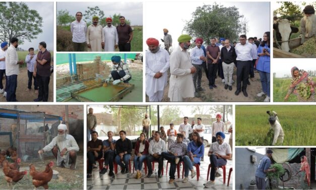 PwC India Foundation strengthens climate Resilient Livelihoods for more than 400 Farming Households through Flood Recovery Initiatives