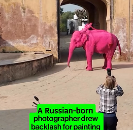 Spare Human Whims on wild Animals, Says World Animal Protection