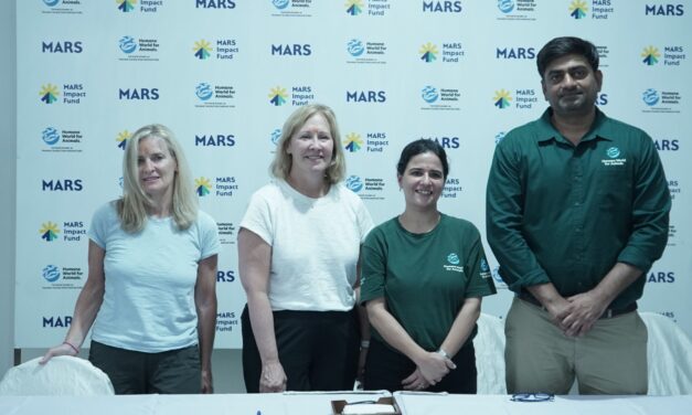 Science Meets Compassion in Lucknow, India's Model City for Street Dog-community Coexistence