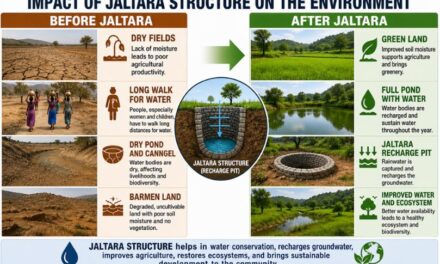 Jalna's Transformation from Drought to Water Security: The Art of Living and SGF