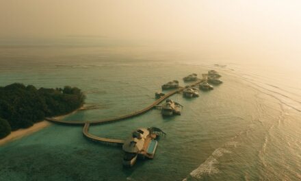 Soneva's Next Chapter: Introducing Bare Luxury