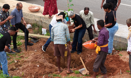 Bloom Avenue: A Year-Round Flower Corridor on Bengaluru's Major Arterial Road in Kempegowda Layout