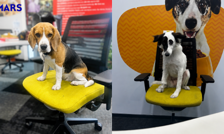 Pets Are Shaping Workplace Culture at Mars Pet Nutrition India