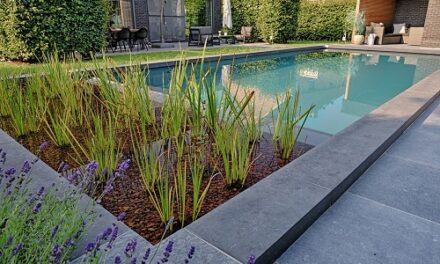 EcoScapes Landscaping Collaborates with Fluidra India to Source Premium Bio Swimming Pool Systems and Materials