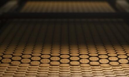 McVitie's Owner Sets 2030 Target to Double Sales of Products with a Better Nutritional Balance